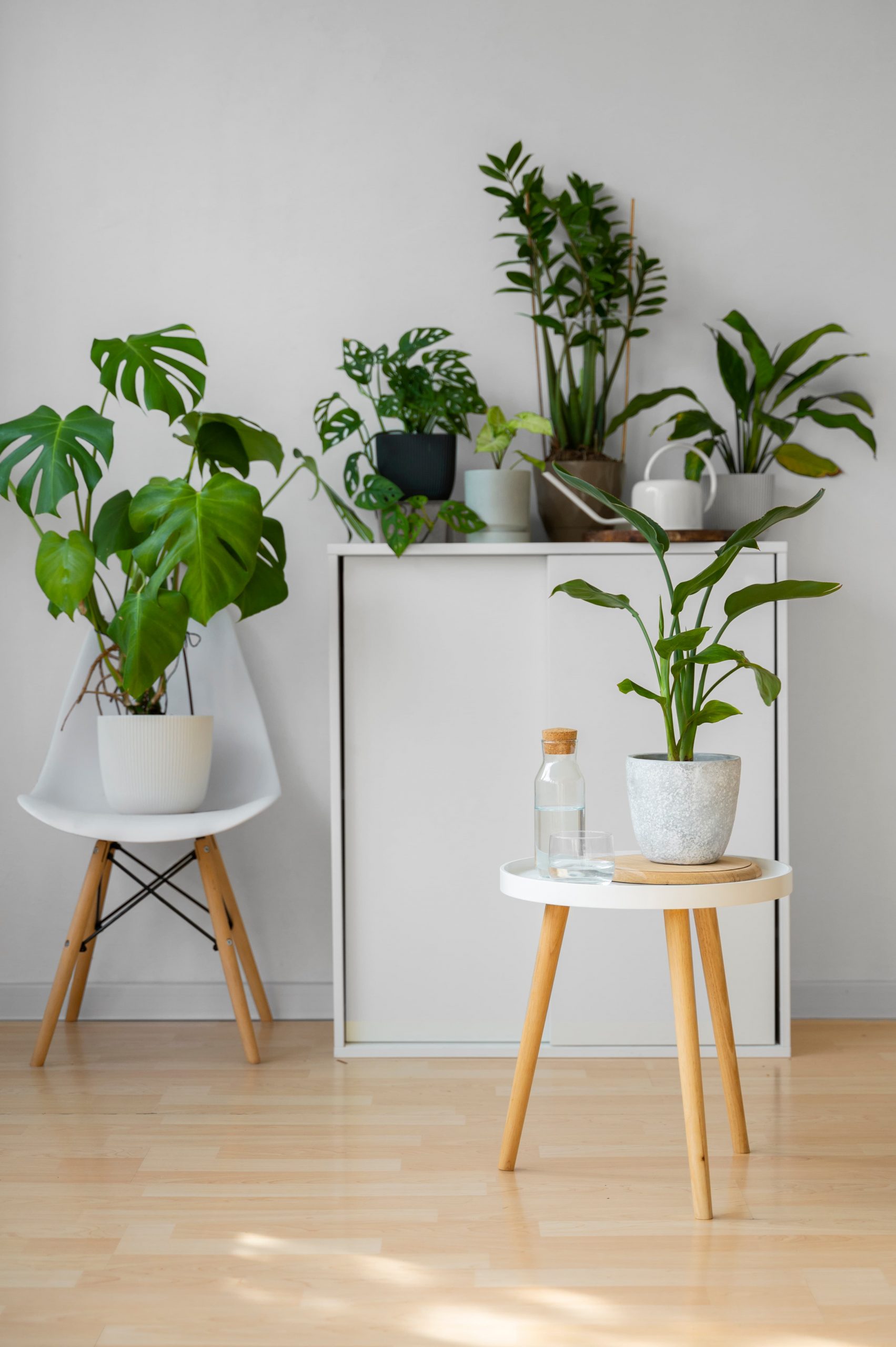 7 Ideas de Decoración para Evitar el Calor en Casa: Colores que No Absorben el Calor en Verano 1 plantas que absorben el calor