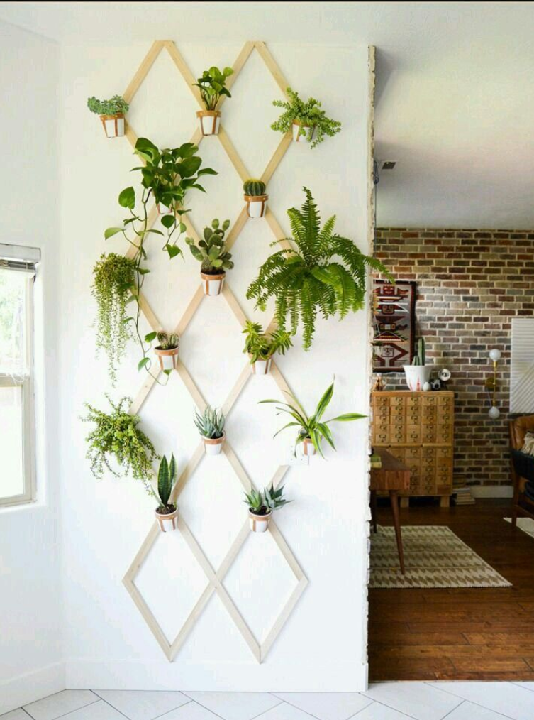 imagen jardín vertical interior en la pared