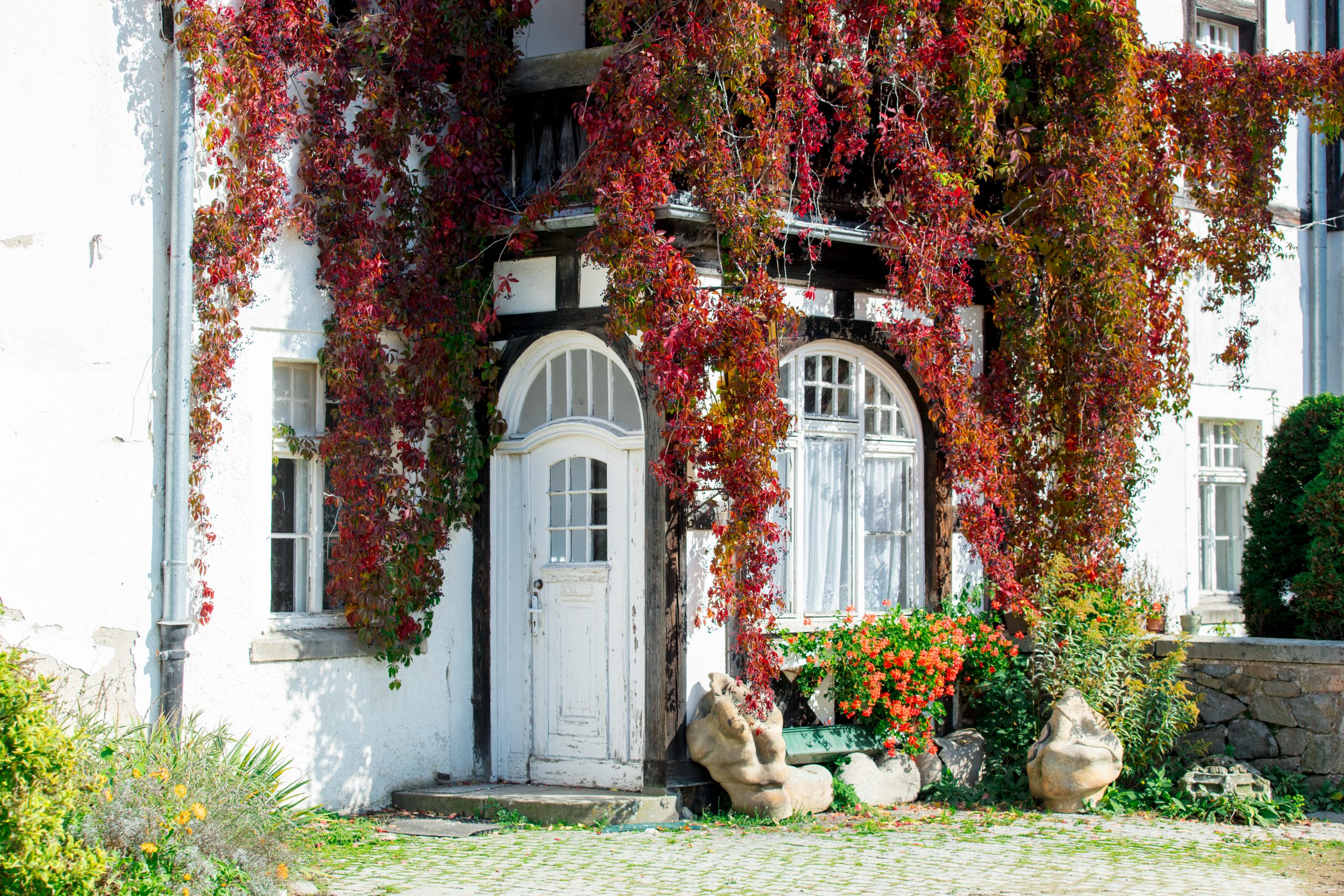 ¿Cómo decorar con los colores del otoño 2025? 1